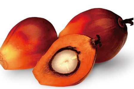 2007 - Членство в RSPO