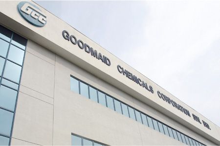 2014 - Приобретение GOODMAID